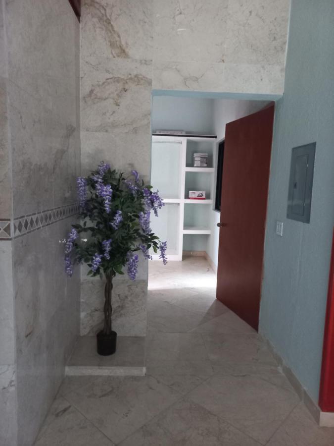 شقة San José del Cabo  في Departamento Tayde المظهر الخارجي الصورة